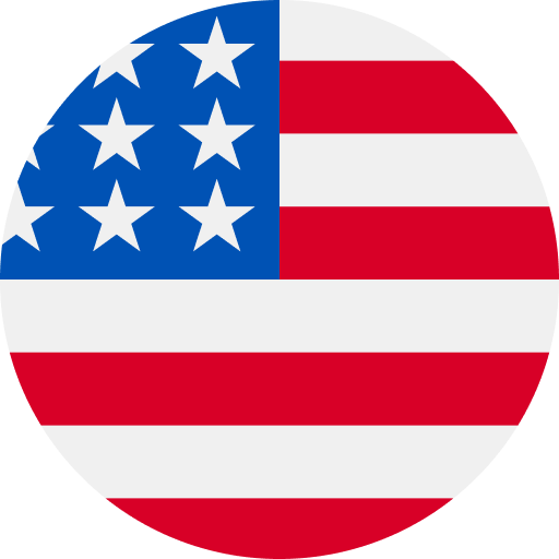 Boston Flag